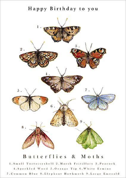 Foil Card-Butterfly Chart