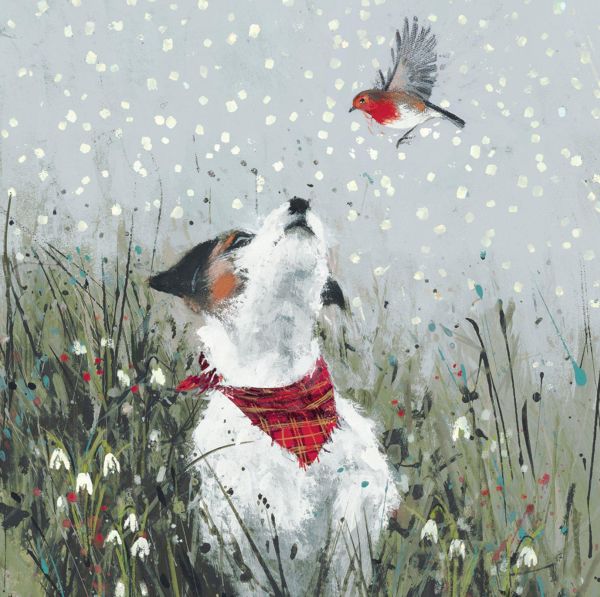 Card Pack of 6-Feathered Friend