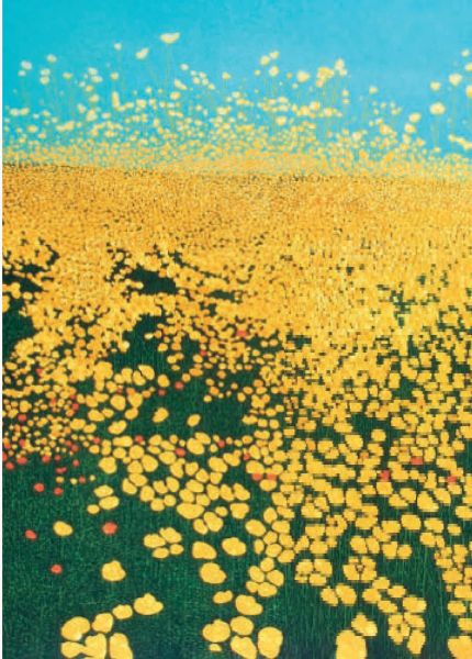 Card-Buttercup Ridge