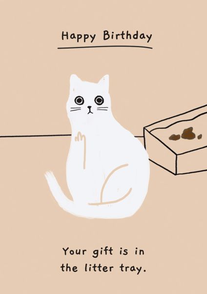 Card-Gift In The Litter Tray