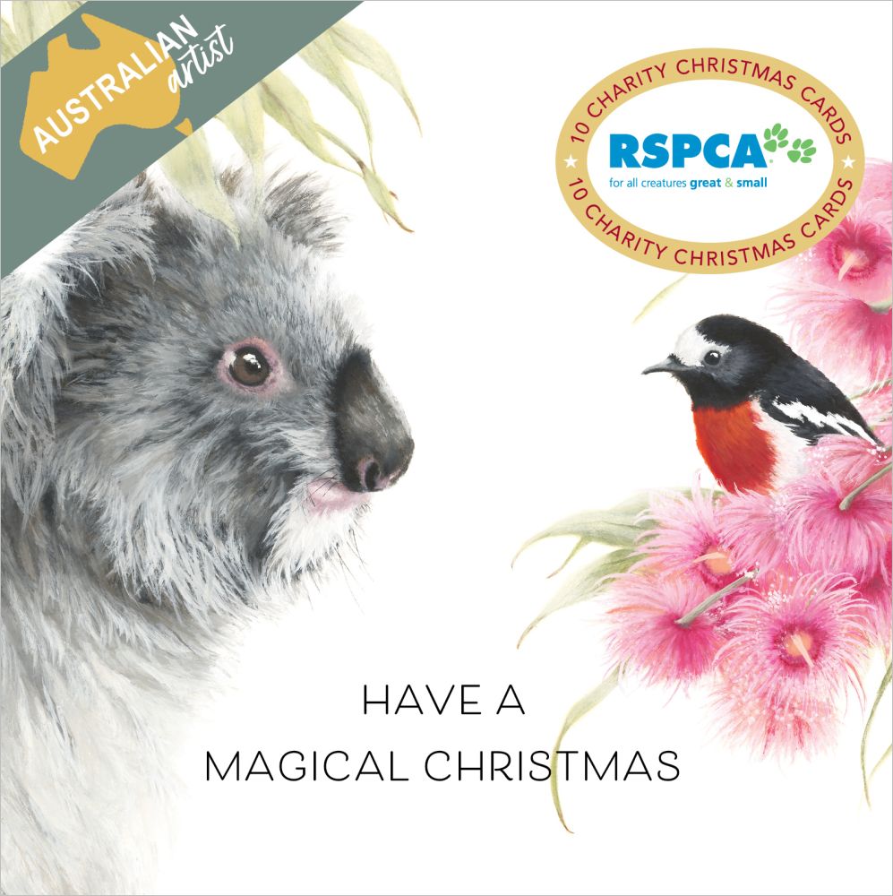 Christmas Card Wallet-RSPCA-Magical Christmas
