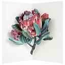 3D Pop-up Card-Protea