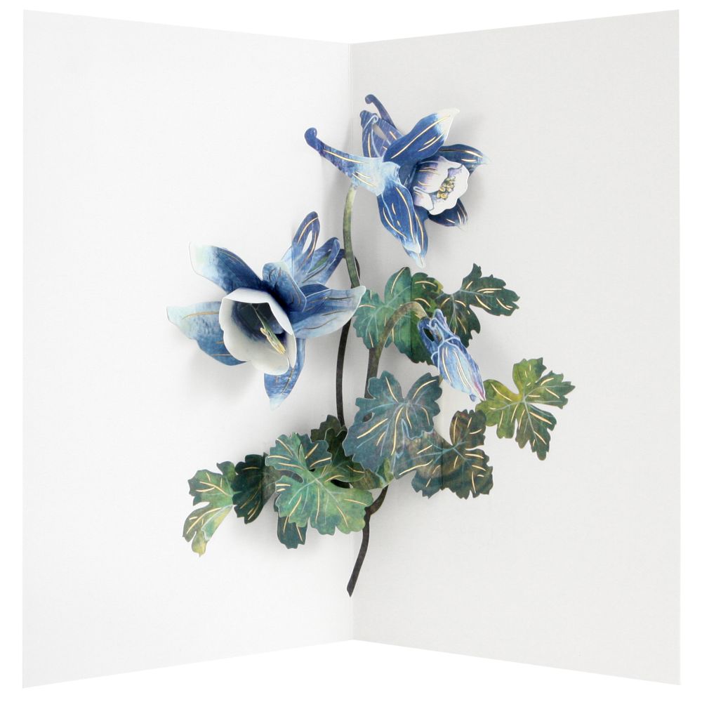 3D Pop-up Card-Columbine