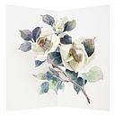3D Pop-up Card-Camellia