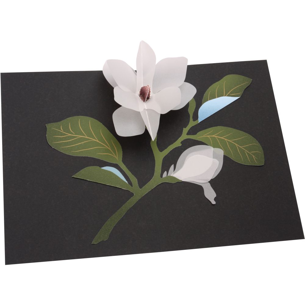3D Pop-up Card-Magnolia