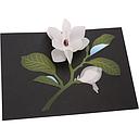 3D Pop-up Card-Magnolia