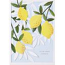 Layered Die-cut Card-Citrus