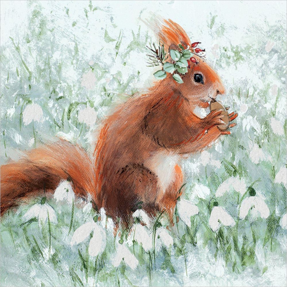 Card Pack of 6-The Nut Cracker