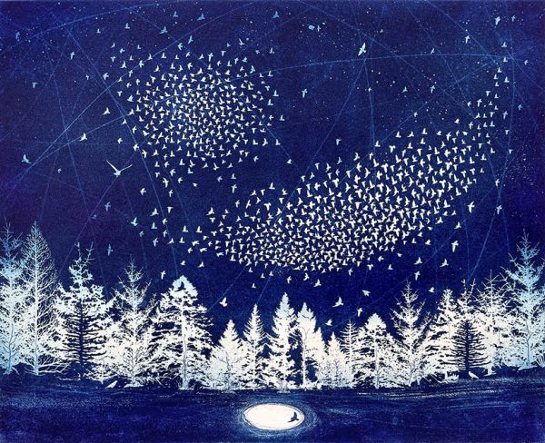 Card Pack of 6-The Starry Messenger