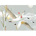 Card-Swans