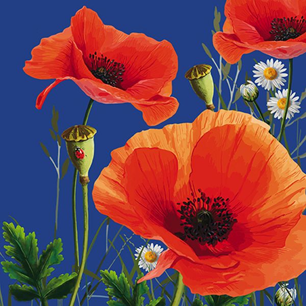 Embossed Card-Poppies