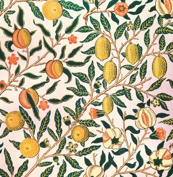 Card-Four Fruits
