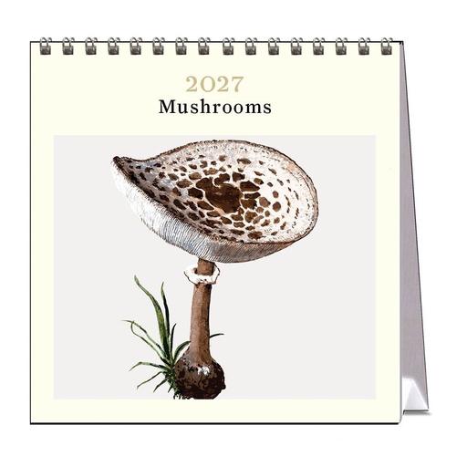 [C-VE-D27-MR-D] Vevoke Desk Calendar-Mushrooms