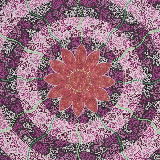 [AB-C-AB029] Card-Transformation