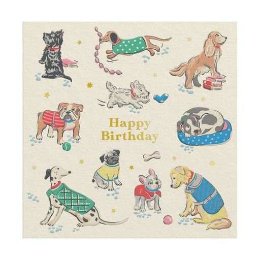 [CK-MC-14268] Mini Foil Card-Dogs