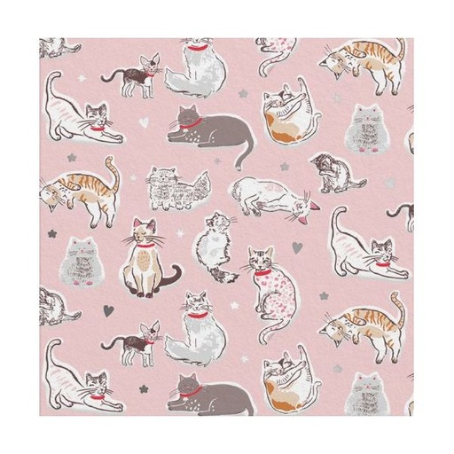 [CK-MC-14270] Mini Foil Card-Cats