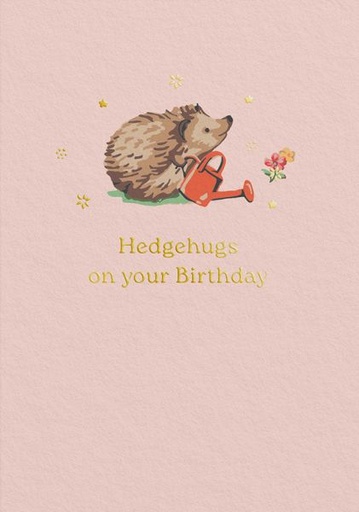 [CK-C-14407] Foil Card-Hedgehugs Birthday