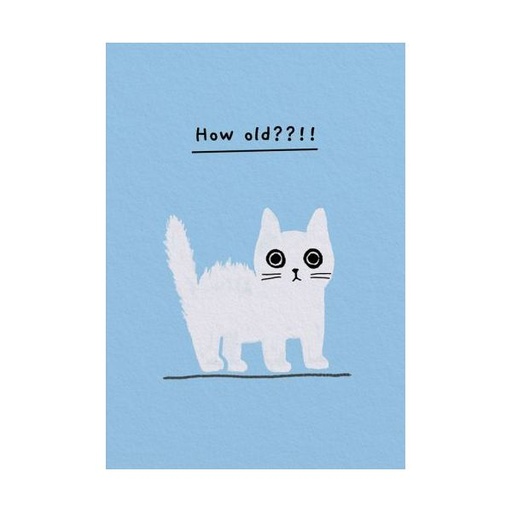 [OD-MC-KT14011] Mini Card-How Old Kitten