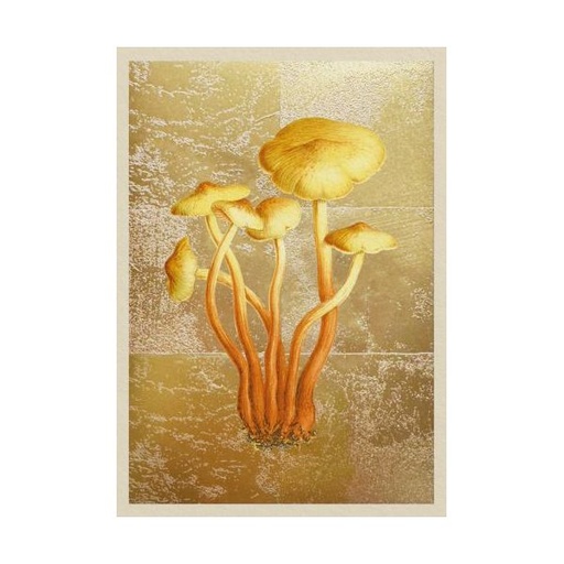 [OD-MC-OD14371] Mini Foil Card-Fungi