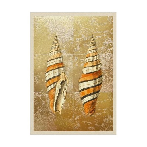 [OD-MC-OD14372] Mini Foil Card-Shells