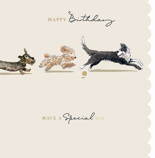 [GB-C-SA1891-LD] Foil Card-Special Day Dogs