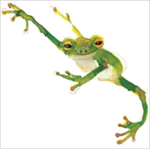 [GB-C-AM8268] Card-Frog
