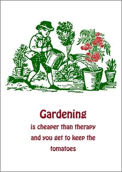 [AV-C-QP170] Card-Gardening