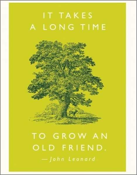 [AV-C-QP310] Card-Old Friend