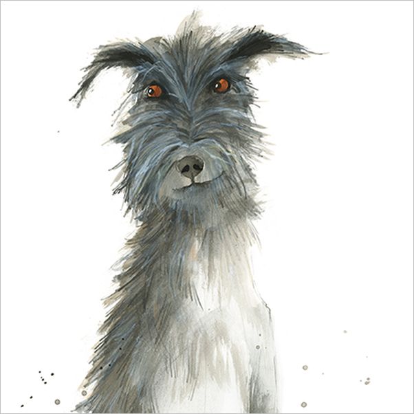 [GB-C-AM0095] Card-Wolfhound