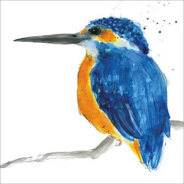 [GB-C-AM0097] Card-Kingfisher