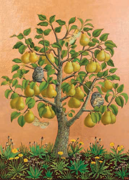 [CD-C-CDP093A] Card-Bosc Pears With Little Owls