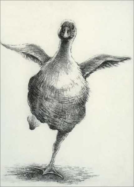 [CD-C-CDP152A-1] Card-First Flight