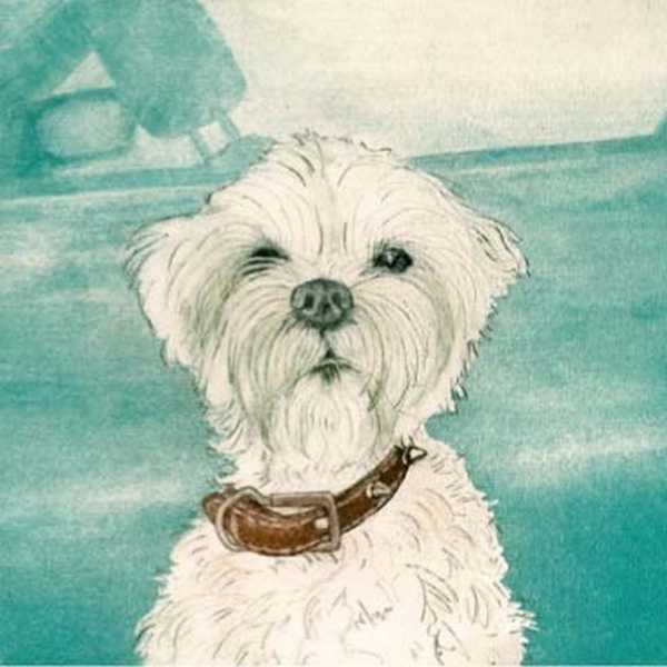 [CD-C-CDP007B-5] Card-Puppy