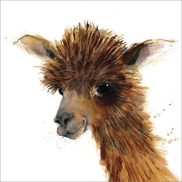 [AL-AM0100] Card-Alpaca
