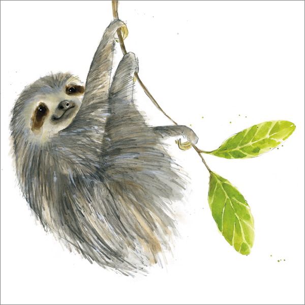 [AL-AM0103] Card-Sloth