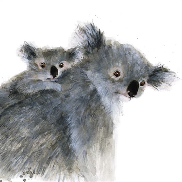 [GB-C-AM0104] Card-Koalas