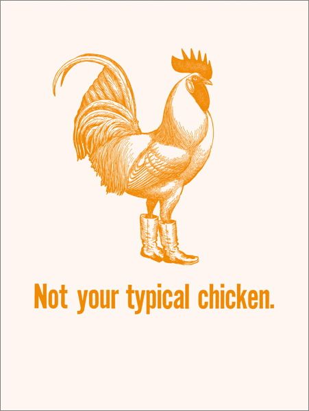 [AV-C-QP544] Card-Not Your Typical Chicken