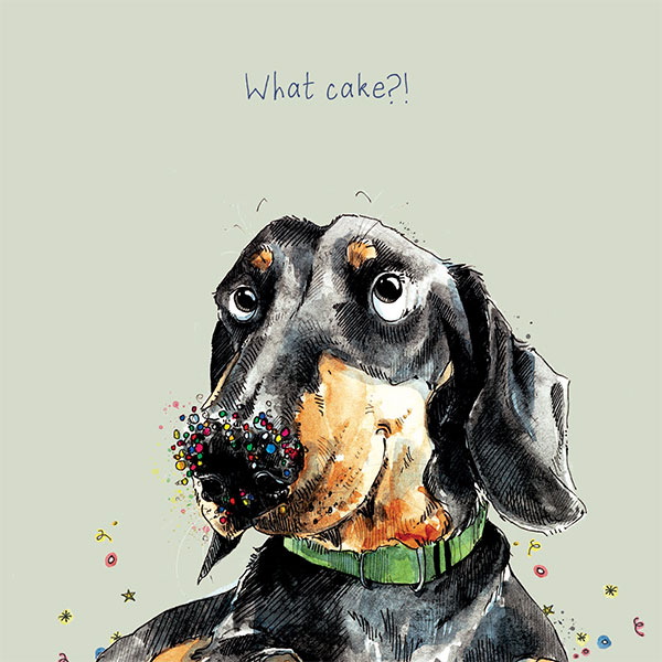 [AM-GT1337] Card-What Cake