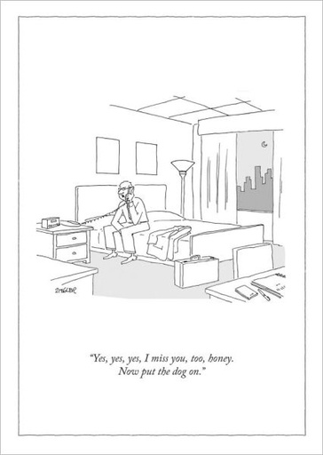 [NY-C-A057] Card-Put The Dog On