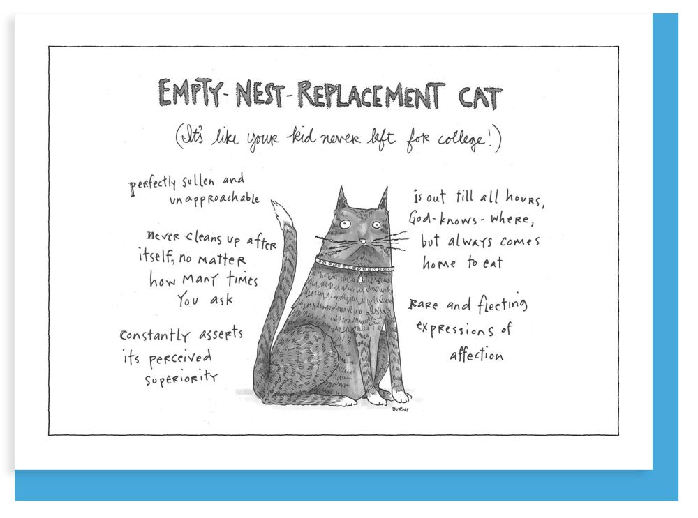 [NY-C-A349] Card-Replacement Cat