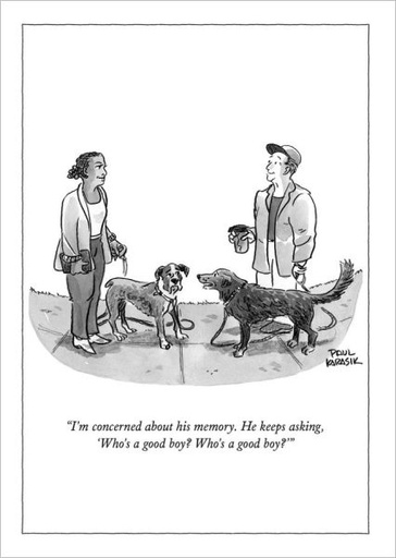 [NY-C-A352] Card-Who's a Good Boy