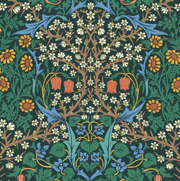 [MC-C-WM-VA006] Card-Blackthorn