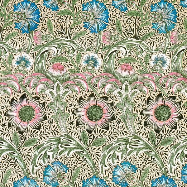 [MC-C-WM-VA011] Card-Corncockle