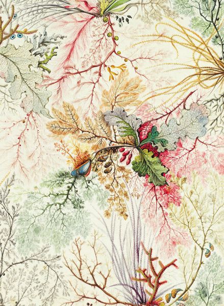 [MC-W-WK-VA006] Wrap-Ocean