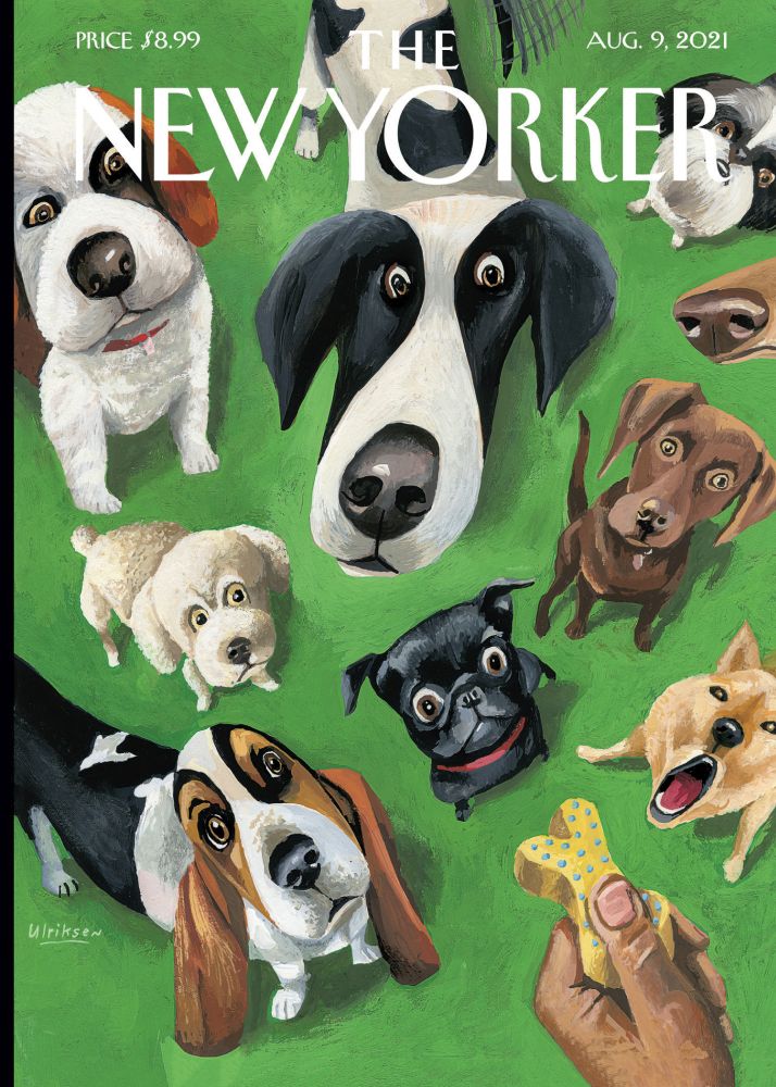 [NY-C-C150] Card-Summer Treat