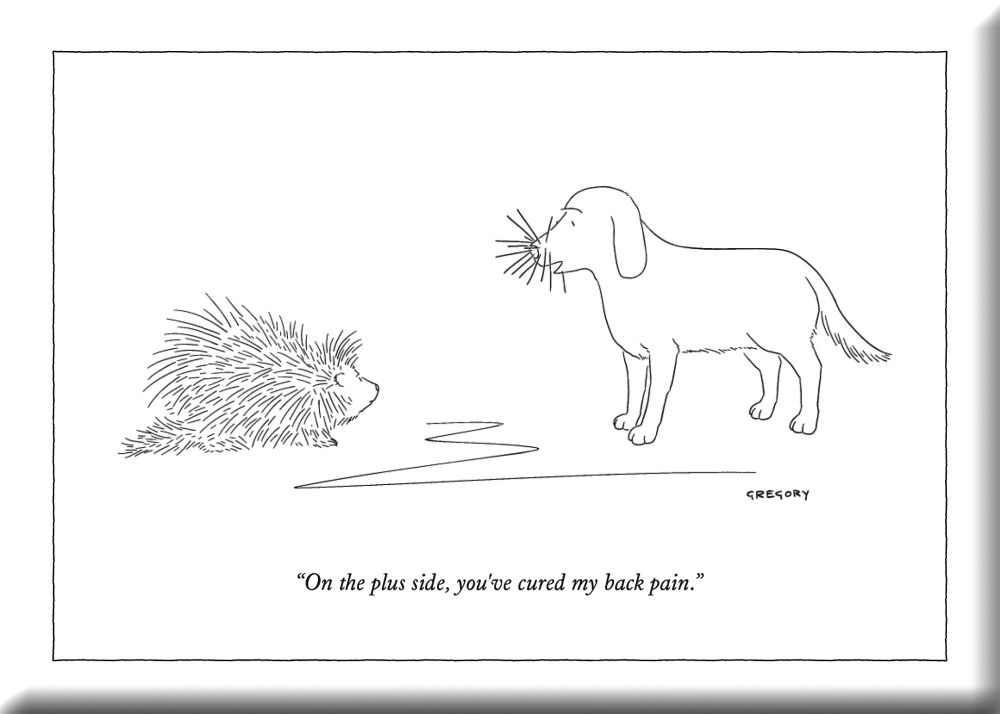 [NY-LMA-HA048] Hard Magnet-Back Pain