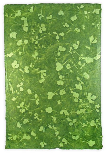 [GI-GSD008-30] Wrap-Leaves On Green