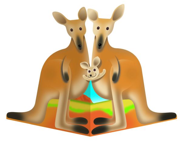 [SD-KR193] 3D Card-Kangaroo-The Roos