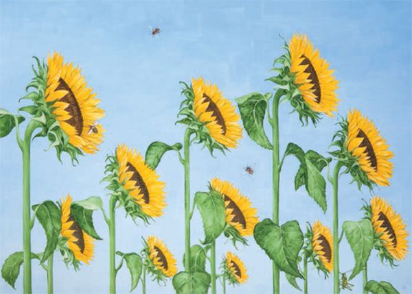 [CD-C-CDP005A-3] Card-The Sun Worshippers