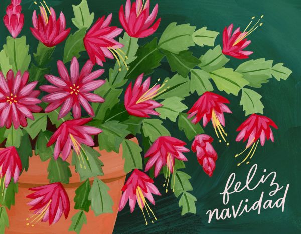 [OC-XC-291300] Card-Christmas Cactus 